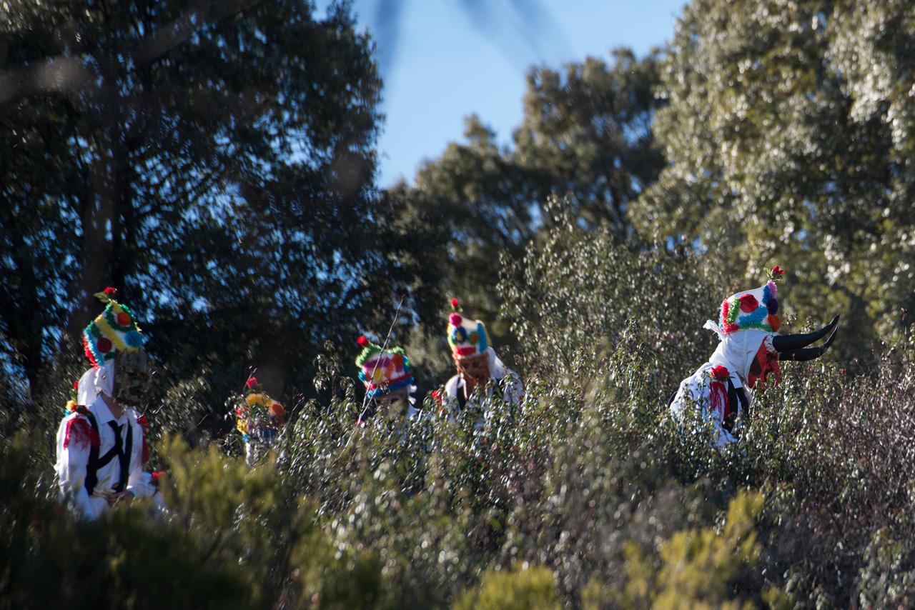 Los botargas se reúnen a las afueras del pueblo, para luego dar vida al Carnaval de Almiruete.