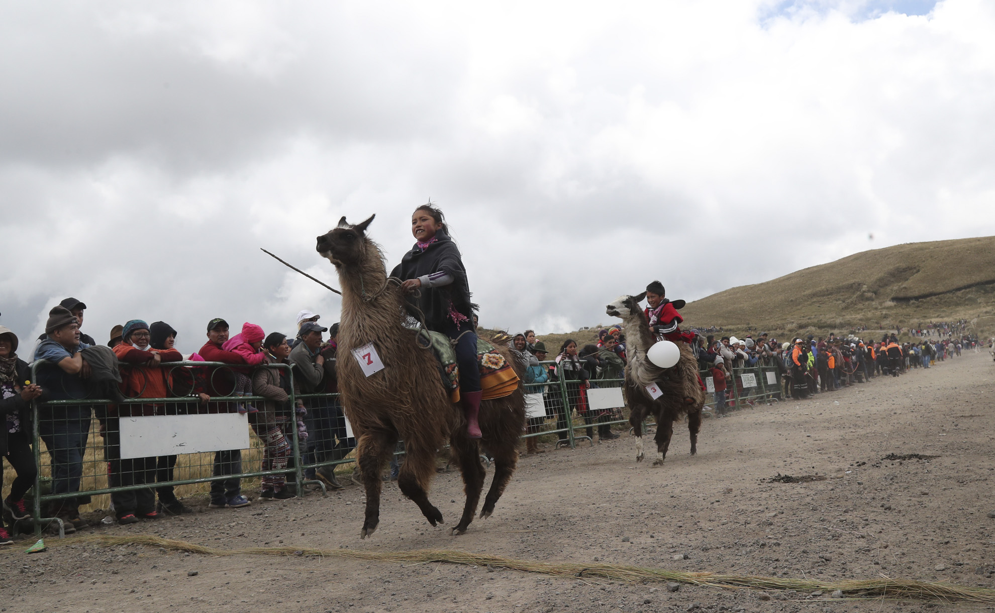 Niñas y niños son los jinetes de la Carrera de Llamas.
