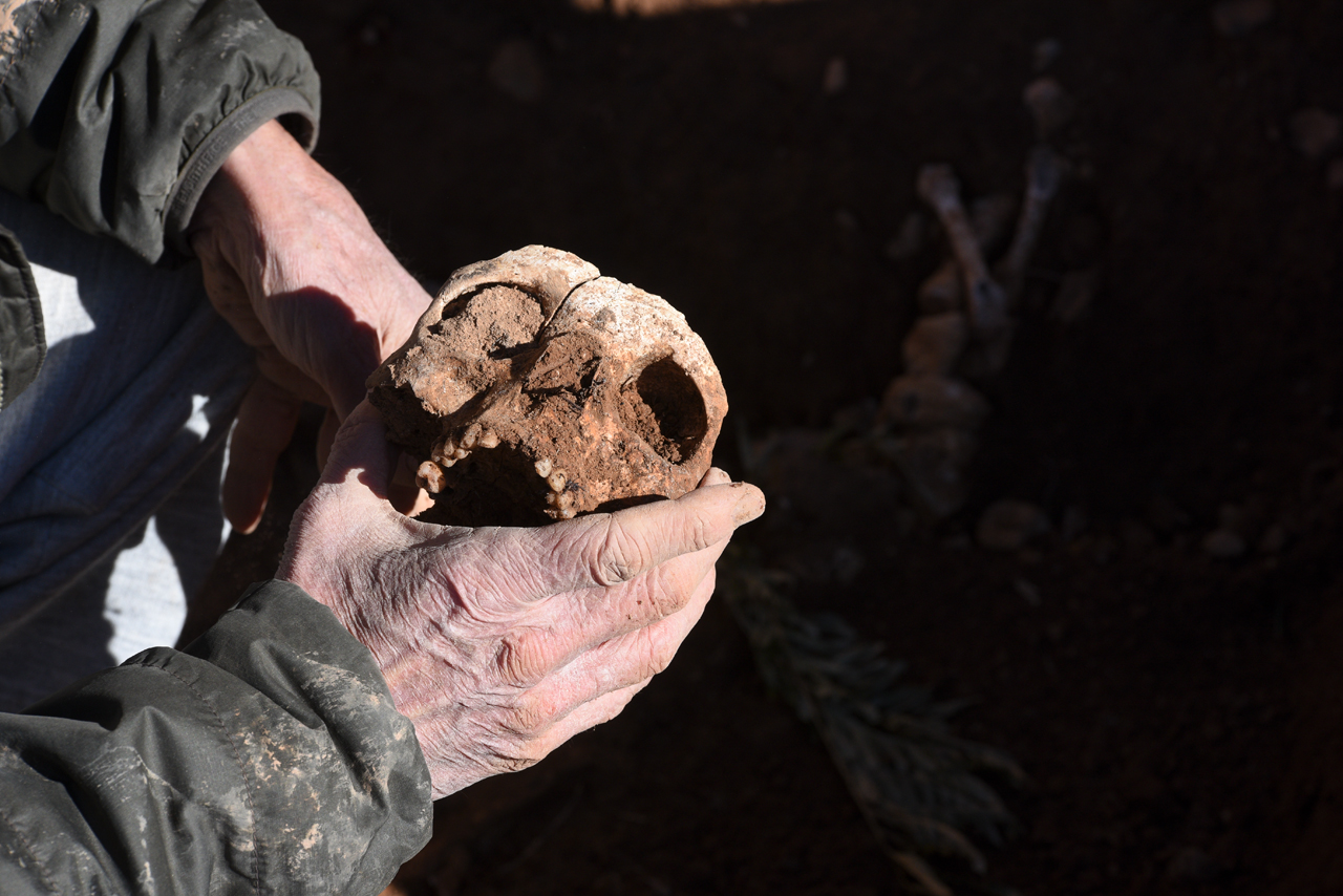 El proceso de la exhumación en Belchite ha permitido encontrar a 200 persons en el exterior del cementerio.